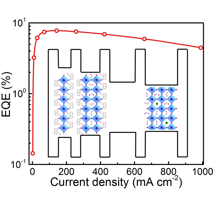 先进材料研究院王建浦教授课题组在J. Phys. Chem. Lett.上发表最新研究成果.jpg